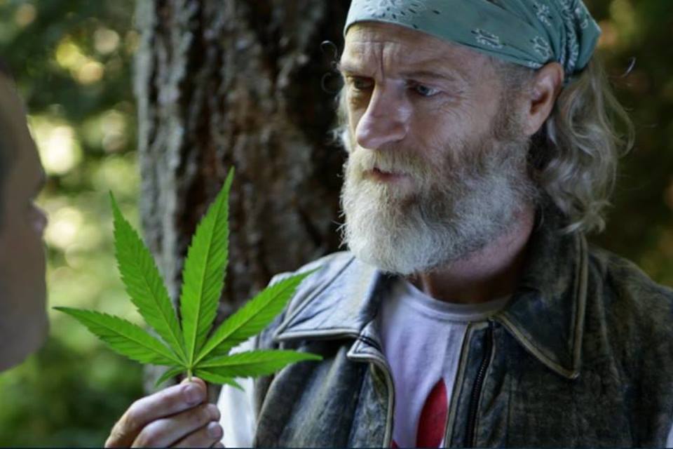 I snuck in a scene from star leaf great movie by the way