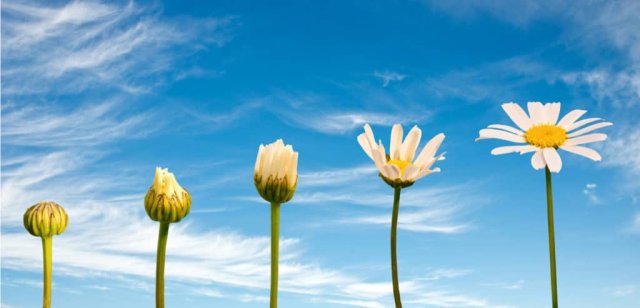 Say what!?!? Nice growth! bit.ly/2Gv2aRq