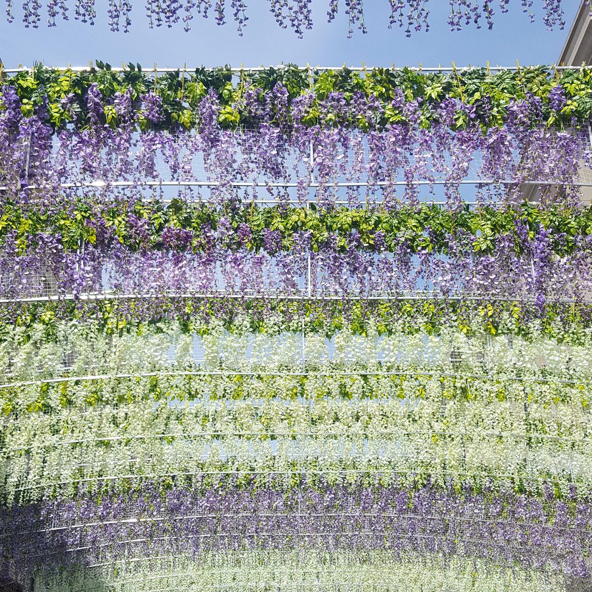 The is nowhere better than Bath in the summer 🌸🍃 #bath #southgate #bathbloggers