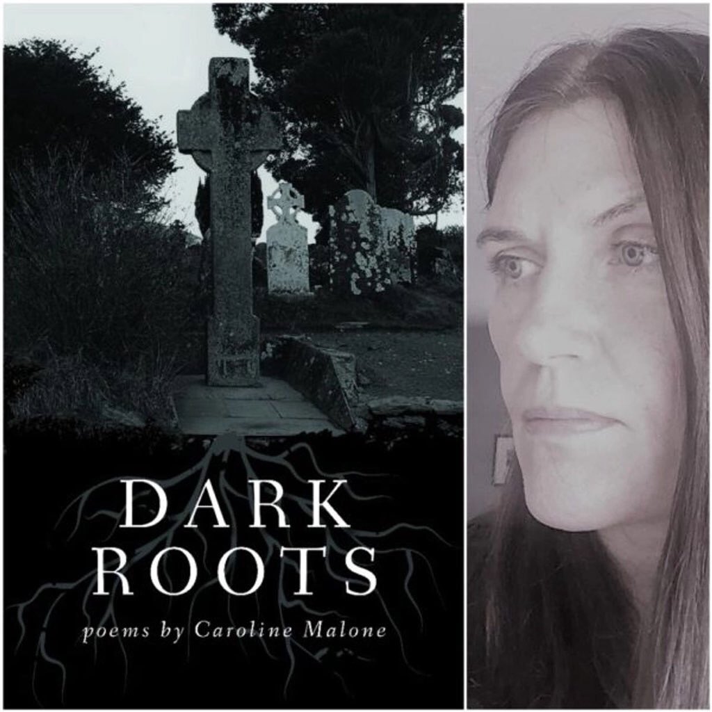 And this arrived yesterday. #DarkRoots by @brightstar2044, pubbed by @FLPress.