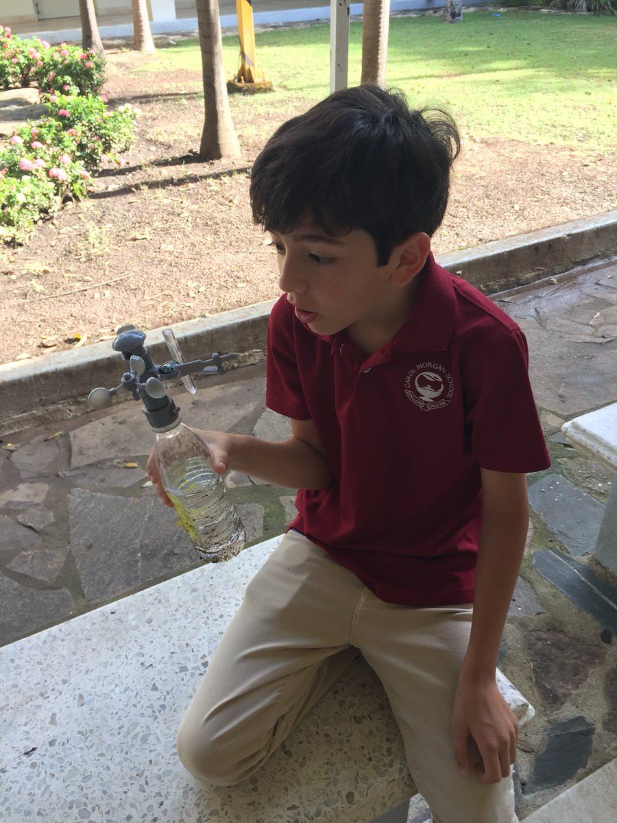 shegrows2's tweet image. Citizen science