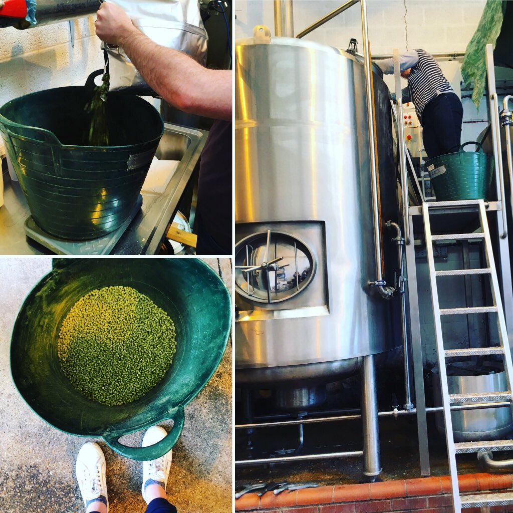 FaramEmily's tweet image. Time to add @CharlesFaram #hops Godiva &amp;amp; CF160 #PVNextGen #beer #hops @BrewstersBrew @AliceBatham @BrewsterSara