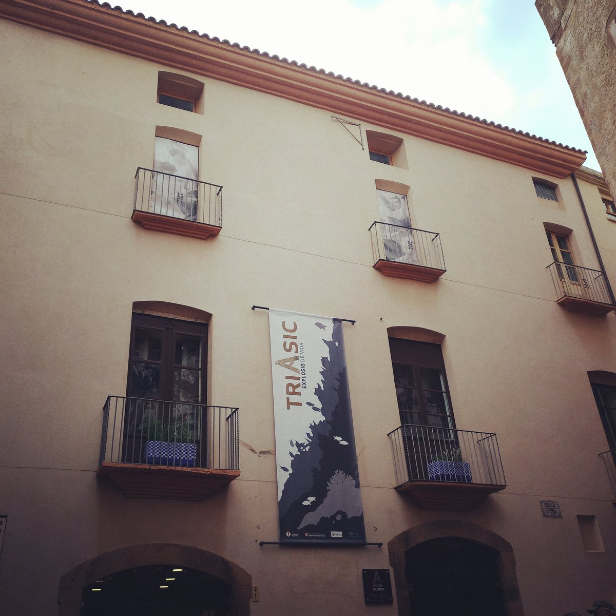 CgJaume's tweet image. Avui el @museualcover en el #diainternacionaldelsmuseus inaugura la nova exposició sobre el #Triàsic. Enhorabona @emagrinalo i tot l&apos;equip per la bona feina!