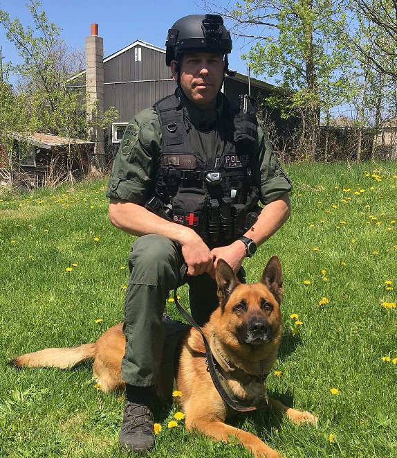BarriePolice's tweet image. #BPS24in24 We love our dogs Thor, Serge &amp;amp; Thunder who are specialized in the detection of all illegal narcotics, firearms and ammunition. Did you know our K9’s have twitter?  Who needs thumbs anyway?  Follow them @BarriePoliceK9!