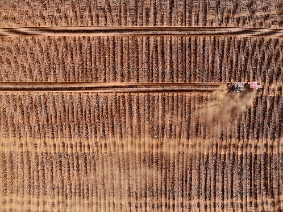 Living_Farm's tweet photo. Raising dust alongside growers in the northern wheatbelt. #NVT trials in Mullewa and Ogilvie going in ahead of next week's forecast weather. @theGRDC @GRDCWest https://t.co/tvHvTmMAgm