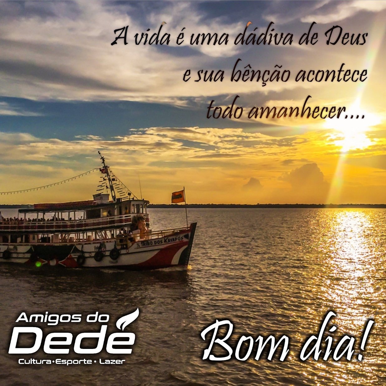 Amigos do Dedé on Twitter: Amigos do Dedé on Twitter:
