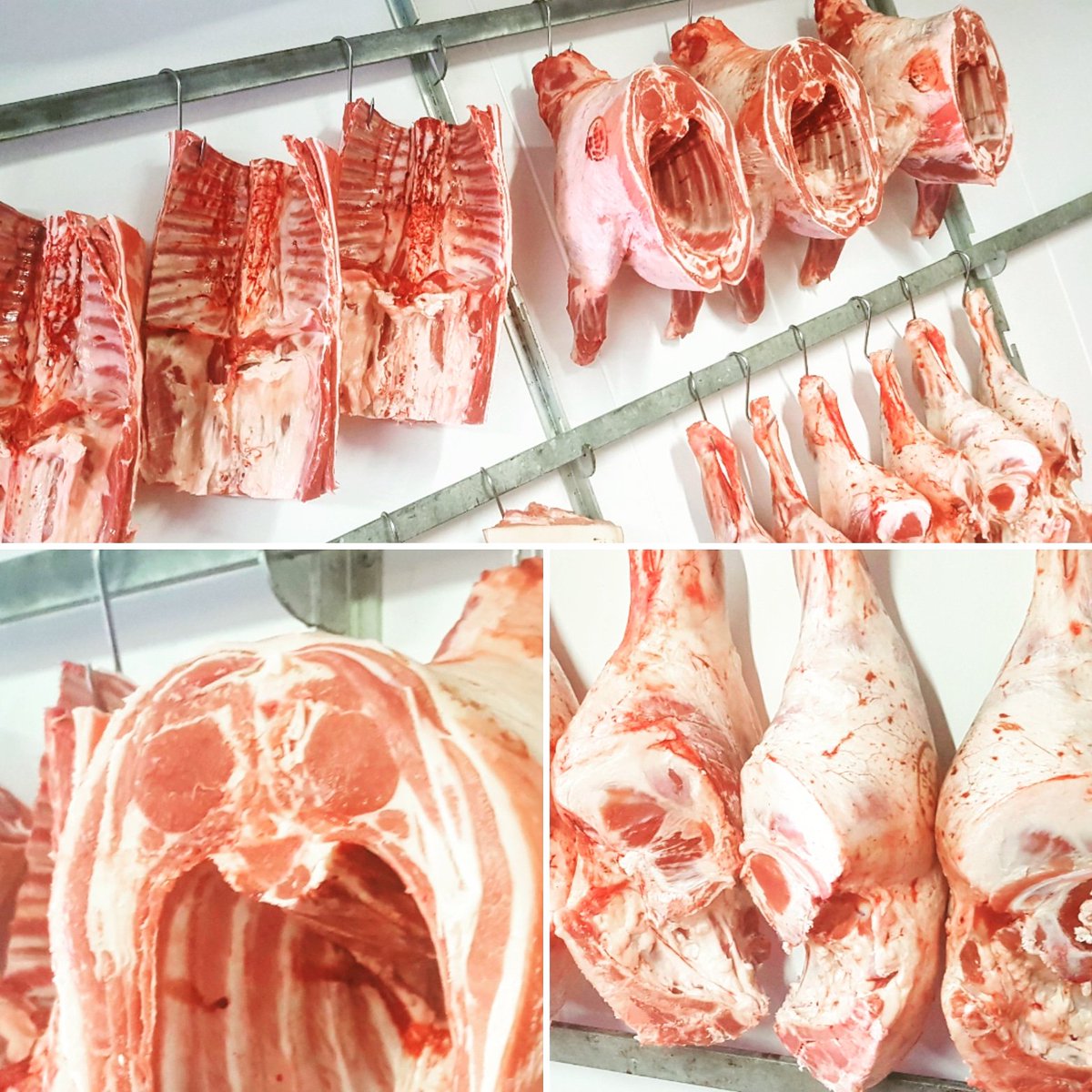 Some beautiful #scotchlamb hanging in the chill for this weekend. These #beltex lambs are reared  by the Paterson family from Upper Auchinlay Farm, Dunblane, 6.5 miles from our door.