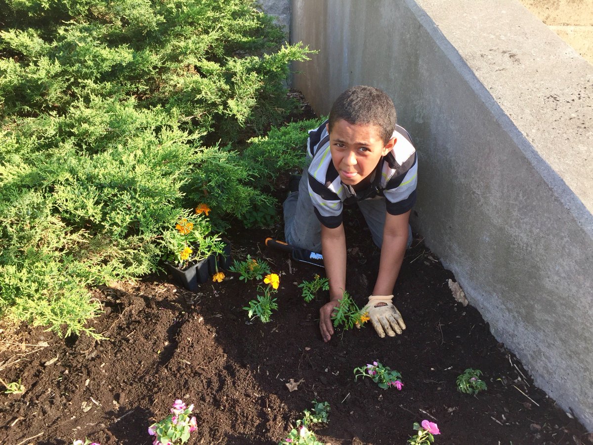 PorterElemSCSD's tweet photo. Porter's annual school grounds cleanup, school beautification and green project Thursday evening. @SyracuseSchools #edgrant #scsdenvironmentallyconscious https://t.co/hgLNxmc31n