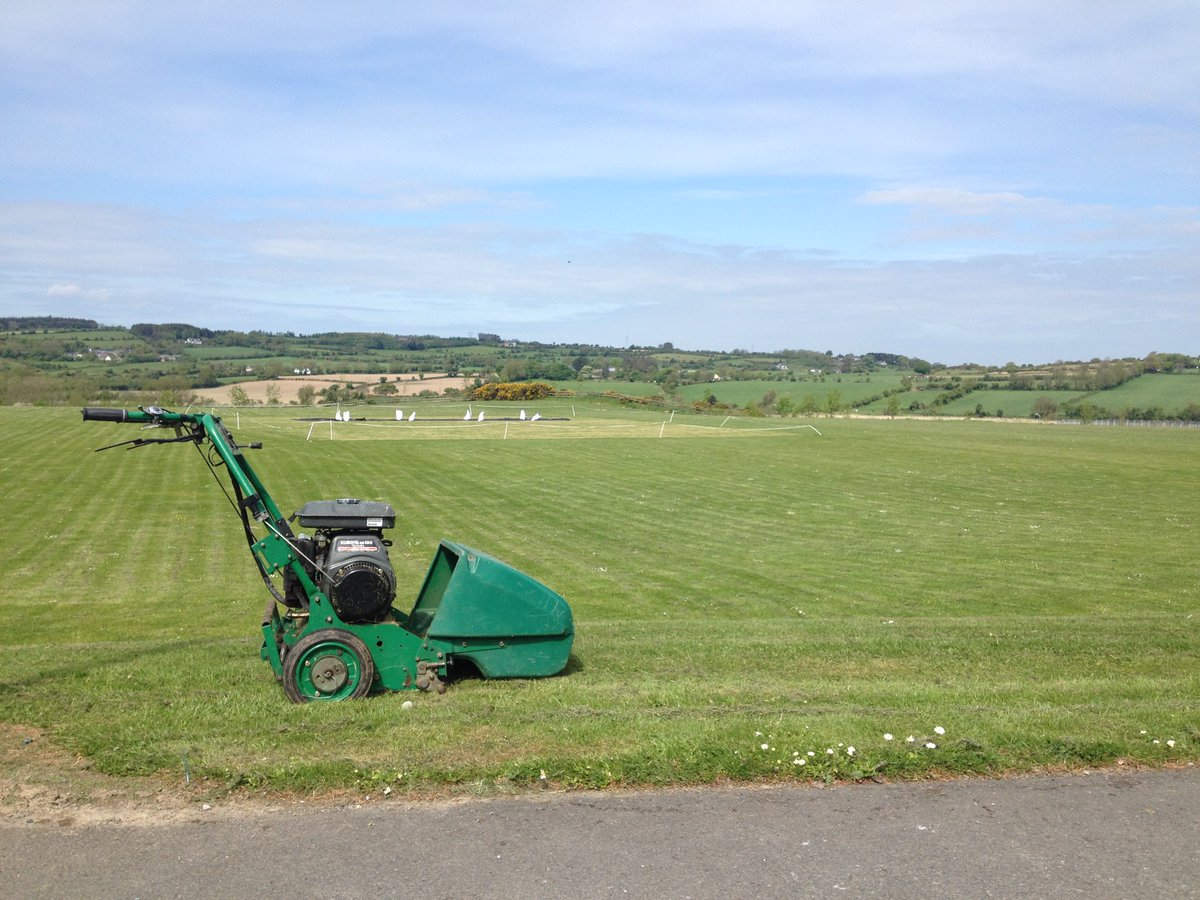 Tom O'Regan tweet media