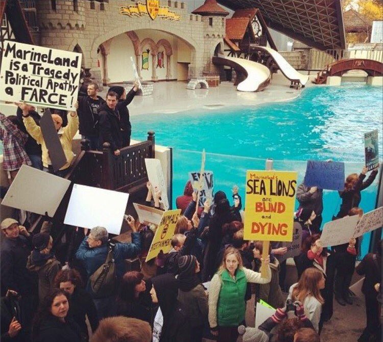 walruswhisperer's tweet photo. Marineland’s improper attempts to interfere with my right of free expression has amplified my voice. Their blustery threats fuel my fire. They created me, and now I’m their worst nightmare. ✊️🐬 https://t.co/aucU7uFJdX