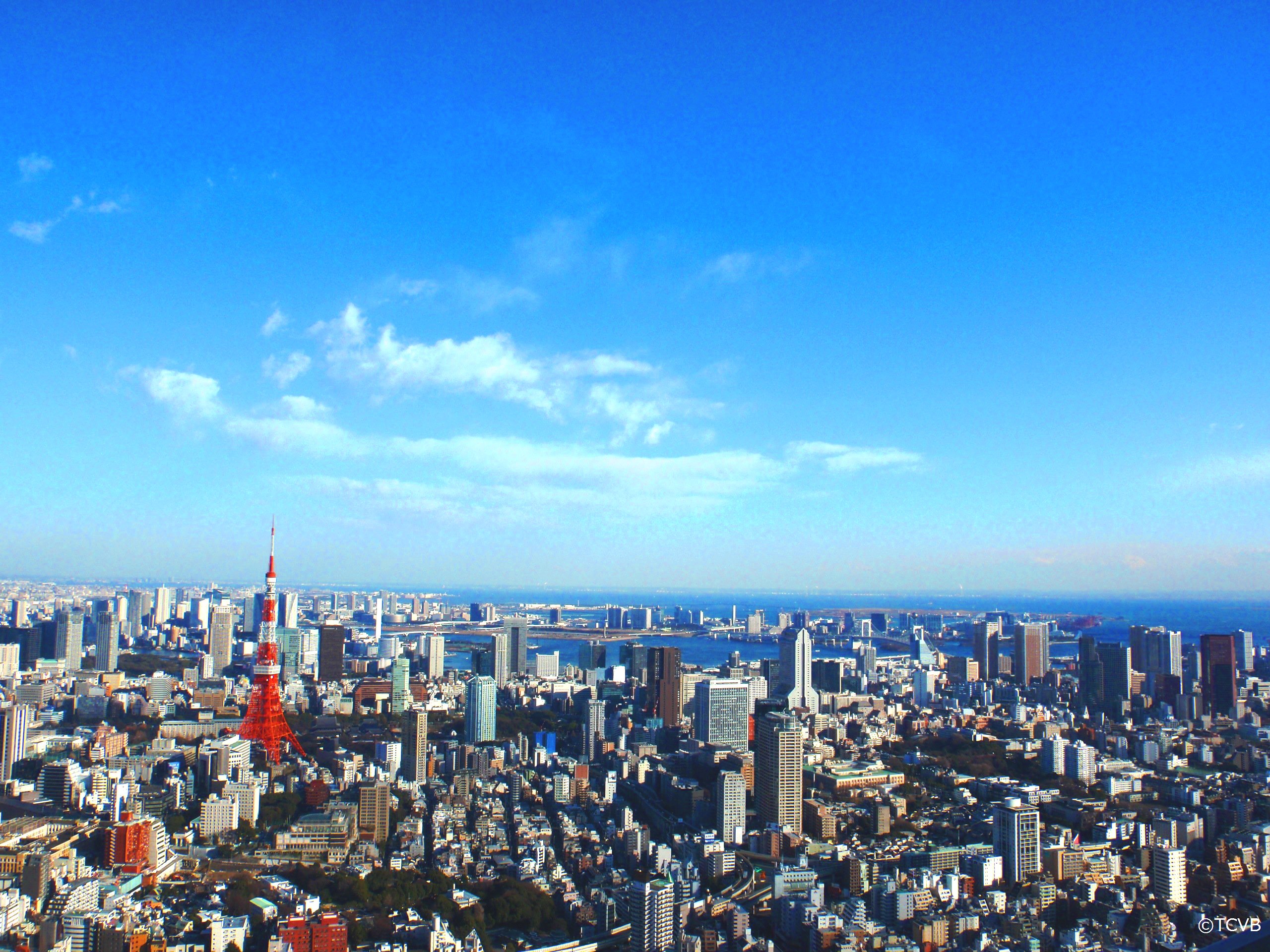 C40 Cities على X: C40 Cities على X: