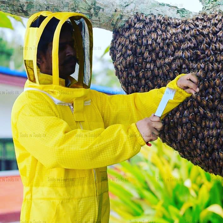 ToolsNTools's tweet image. Bee Keeping suit in all sizes now In stock. toolsntoolsuk.co.uk/product-catego…

#beekeeping #beekeeper #beekeepers