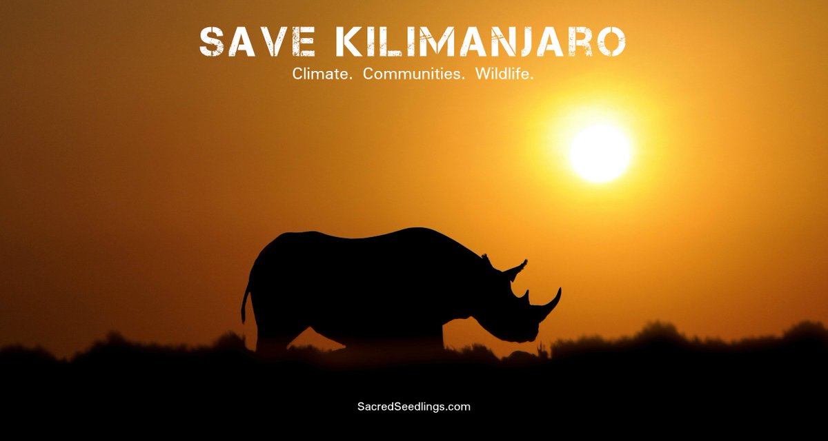 It's Endangered Species Day Every Day. sacredseedlings.com/endangered-spe… Sponsorships Available. #EndangeredSpeciesDay