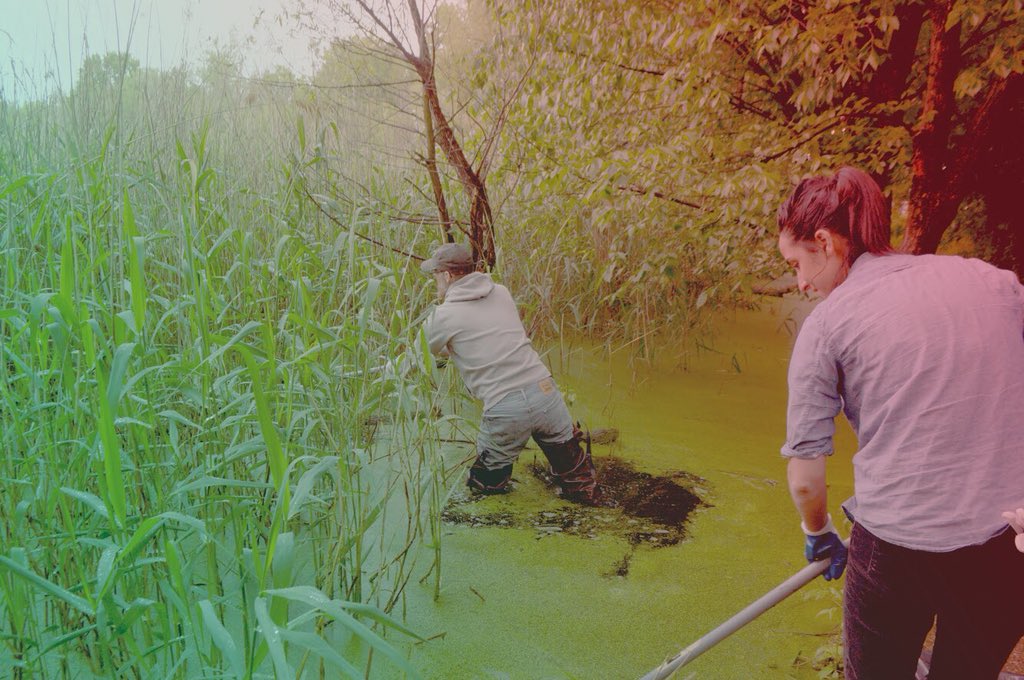 CEO really getting into the cleanup by getting into the water, wearing waders to get the hard-to-reach waste.