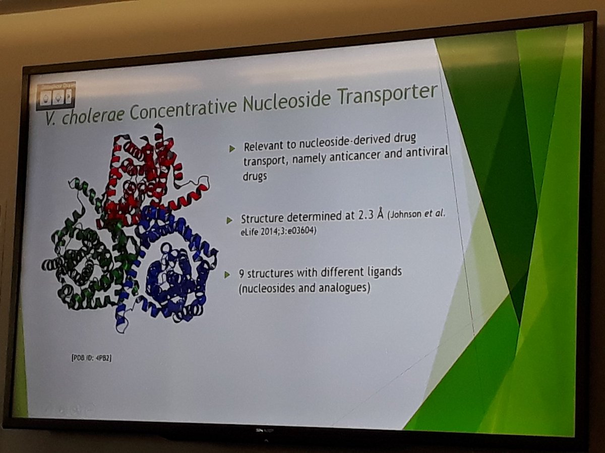 ITN_RAMP's tweet photo. And now @Diogo_M_Melo from @unihh and @desy is up presenting his #RAMPproject #PhD, telling us about #membraneprotein purification and dialysis buttons. https://t.co/0pEs0gmAL5