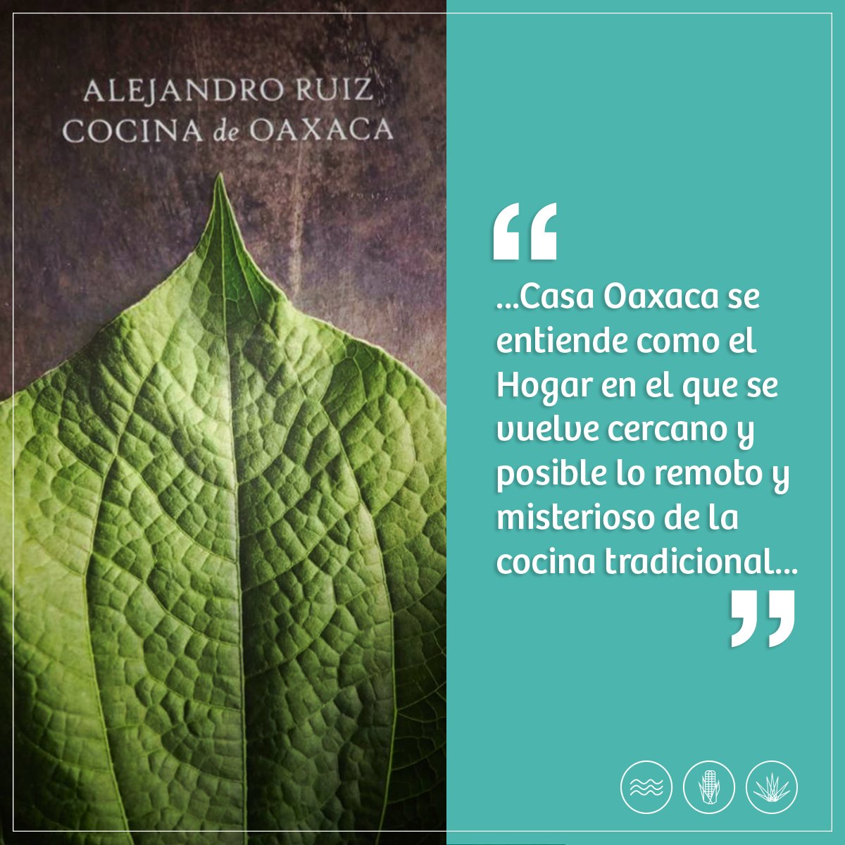Oaxacalifornia_'s tweet photo. Para nosotros es un honor pertenecer al Grupo Casa Oaxaca.

#Oaxacalifornia #Oaxaca #CasaOaxaca https://t.co/LFWXq5XQq0