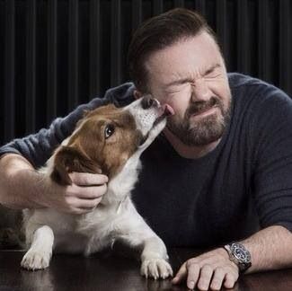 rickygervais's tweet photo. This weekend, plan a visit to your local rescue shelter, where your new best friend is waiting for you. #adopt #rescue #LucysLaw @pupaid https://t.co/lDqqw0IsJm