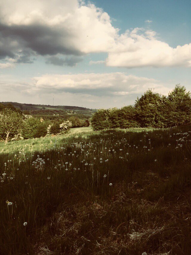 OverdineFarm's tweet photo. We’re having a wonderful evening at Overdine Farm. How’s yours? #herefordshire #overdine https://t.co/VZ1o1esGlU