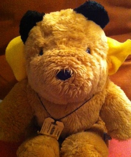 The Teddy #BeMoreToddy tweet media