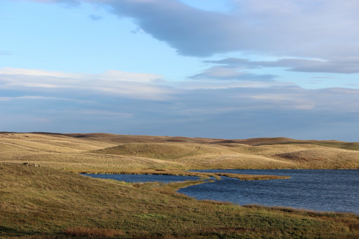 USFWSMtnPrairie's tweet photo. May is American #Wetlands Month! Learn more about these important habitats that support #birds, fish, insects, and many other #wildlife: https://t.co/22WBSKZjob Discover how you can enjoy visiting a local #wetland: https://t.co/BMwTWN60Ts Photo: @USFWS https://t.co/1uPibFEqPK