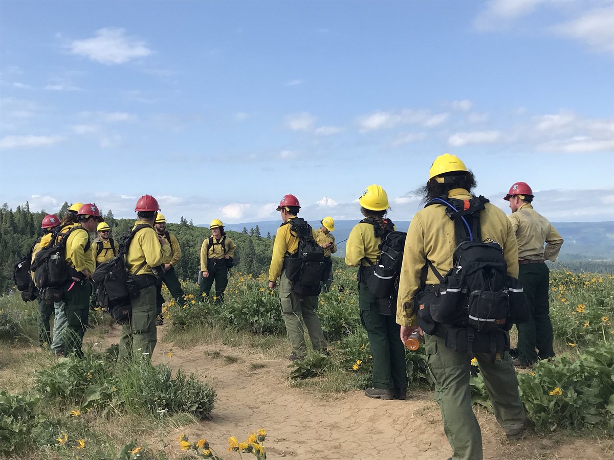 firekick3's tweet photo. Columbia River Gorge National Scenic Area firefighters at McCall Point during morning PT hike. #CRGNSA #DailyPT https://t.co/YY1hbaC6O6