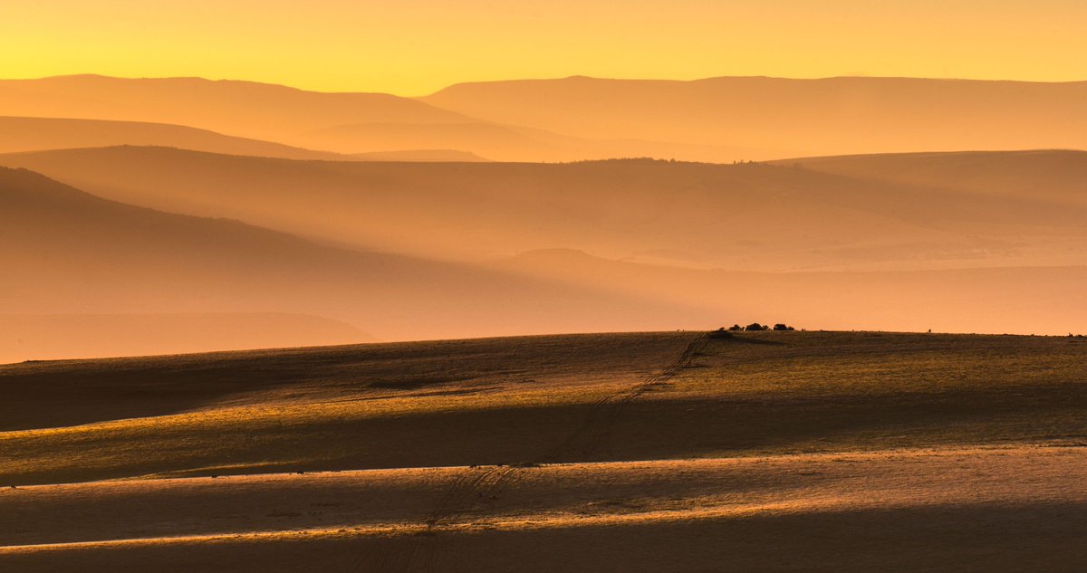 hogsbackinfo's tweet image. Sunset does not always supply one with intense, dramatic colours. Soft diffused colours can also make for low-contrast, very pleasing images.
#sunsets #light #softcolours #shadows #colour #color #lines #contrast