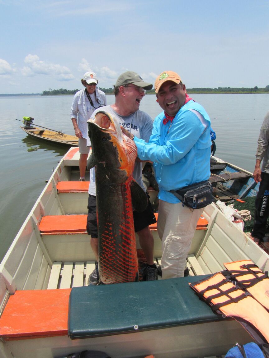 ExploramaPeru's tweet photo. Raul is holding up a locally caught Arapaima which species is one the largest freshwater fish in the world. Known in Peru as paiche, its meat is considered a delicacy and while living in the same waters as piranhas, .  its outer skin  has  evolved a piranha- proof body. https://t.co/s9KHNiZPt9