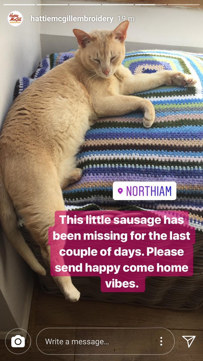 Kate_Gwilliam's tweet photo. Please help find Pickle.
He hasn't come home for 2 days...
#findpickle #lostcat #sussex #northiam https://t.co/uQOsFNi6mC