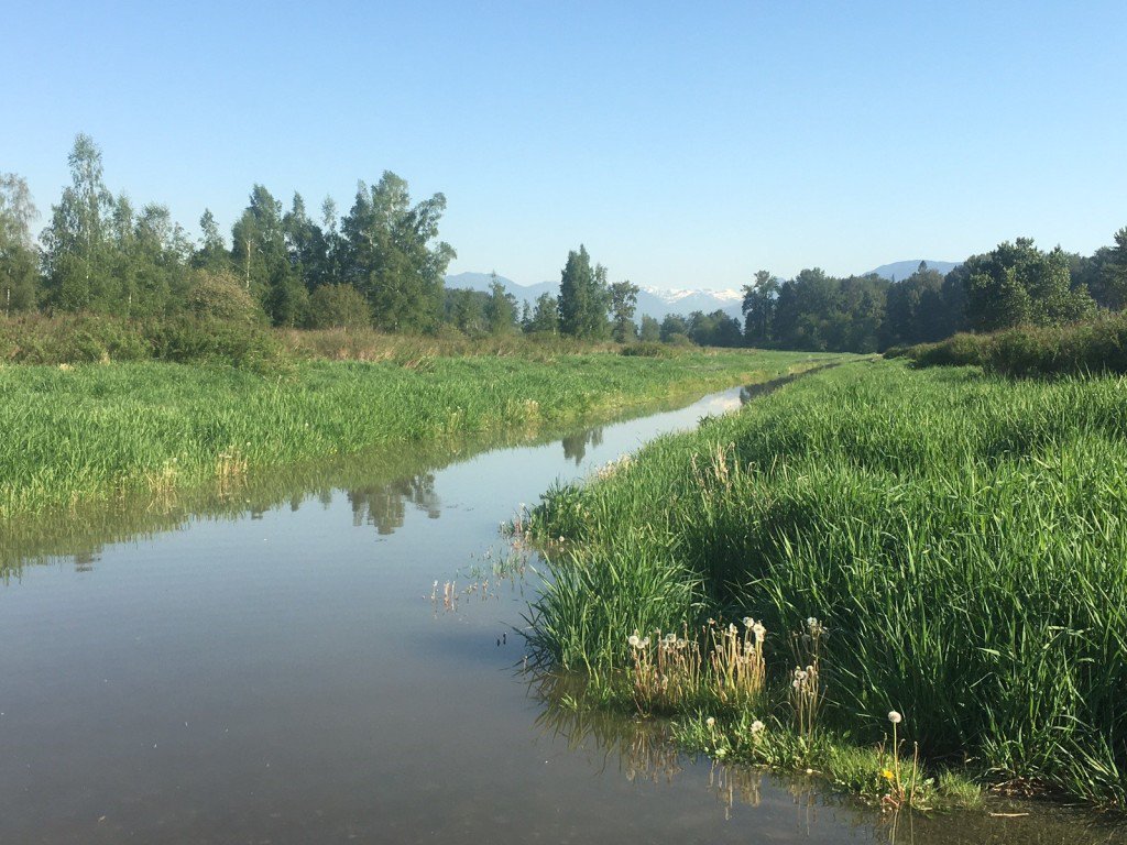 EmergencyInfoBC's tweet photo. MT @MetroVancouver: Flooding expected on trails next to #FraserRiver, hazardous areas will be closed. Pls comply with posted signs #BarnstonIsland #BraeIsland #ColonyFarm #DeasIsland #DerbyReach #GlenValley #Kanaka #Matsqui #SurreyBend #PittRiver #BCflood https://t.co/vEqeQuAmMA https://t.co/E4a2DFnbdz