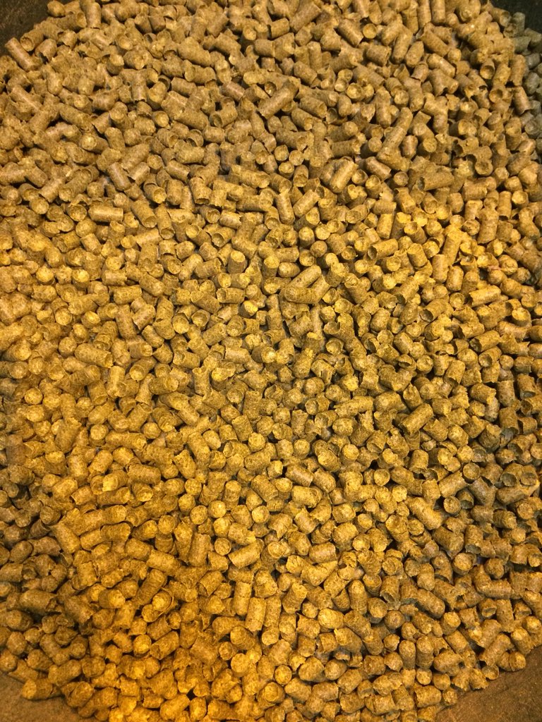 Imogen_Ramsey1's tweet image. Really enjoyed our day of brewing at Brewsters as part of Project Venus, with @AliceBatham leading the way - can’t wait to see the finished product 🍻#PVNextGen #brewsters #brewingstudents #PhDlife