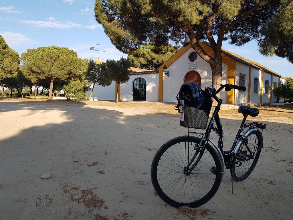 Andalusia Italia tweet media