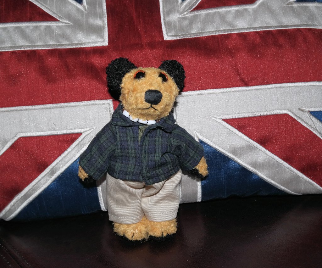 LeviFuzzy tweet media