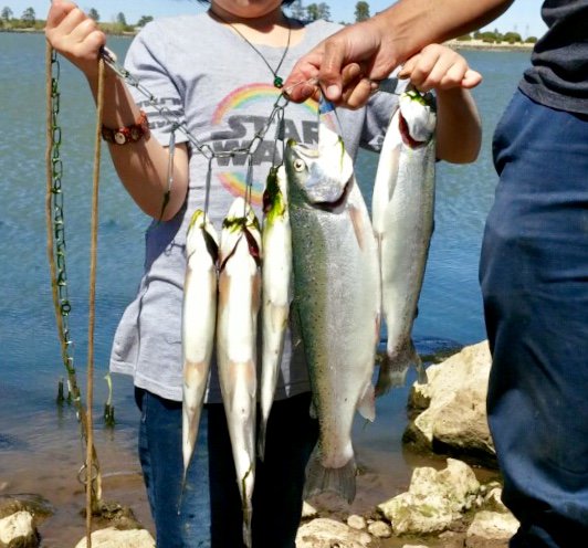 GoFishAZ's tweet image. Angler Report: Ashurst Lake - fishaz.azgfd.com/angler_reports…