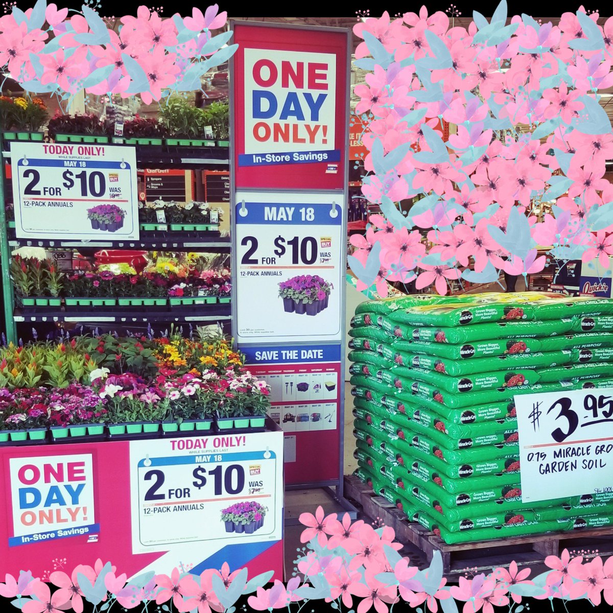 Crystal_hd28's tweet photo. Ready with the Deal of the Day: 12 pk annuals   #spring #garden #team1040  #annuals #livegoods https://t.co/G1sXS1CMxy