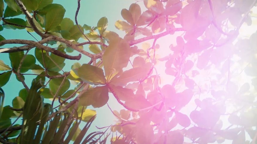 Stefanie Mullen tweet media