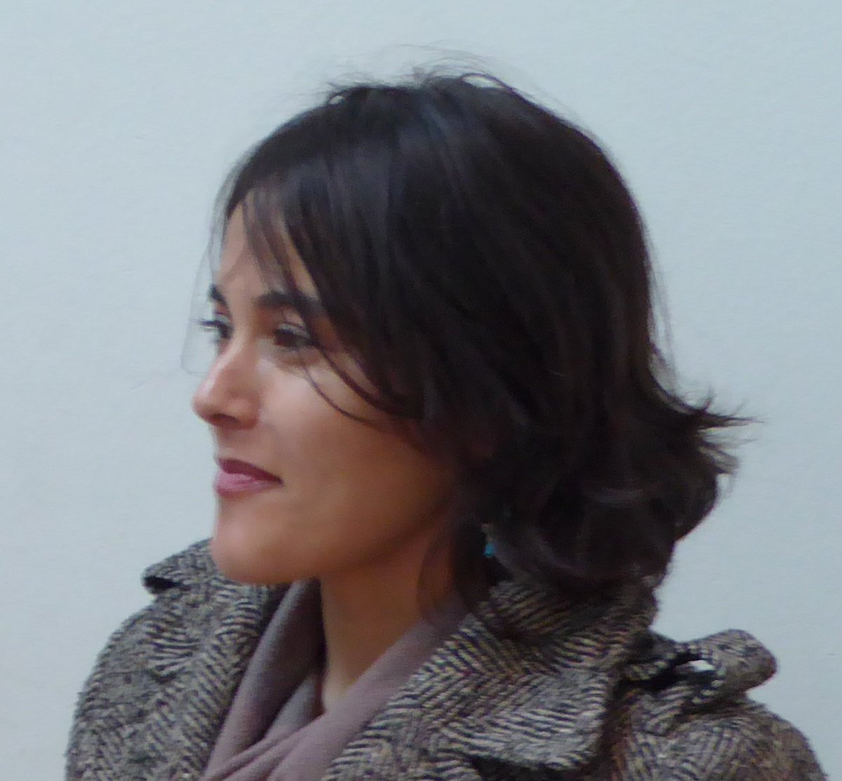Antofagasta tiene las calles con más arsénico del mundo cerca del puerto según un estudio de un equipo multidisciplinario, liderado por la geóloga de la Sociedad Geológica de Chile Joselin Tapia.
<a href="/24HorasTVN/">24 Horas</a> <a href="/ahoranoticiasAN/">Ahora Noticias</a> <a href="/T13Noticias/">T13 Noticias</a>