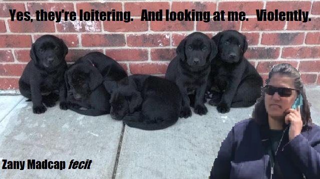 ZanyMadcap's tweet photo. #Oakland #oaklandbbq #OaklandCookout #BBQingWhileBlack #bbqlady #racistbarbecuelady #CookingOutWhileBlack #oaklandbbqwoman #barbecue #BBQBecky #CharcoalLady #charcoalnazi #barbecuebecky #LakeMerritt #jennifershulte #BlackTwitter #puppies #existingwhileblack https://t.co/Iy1zAbaU5K