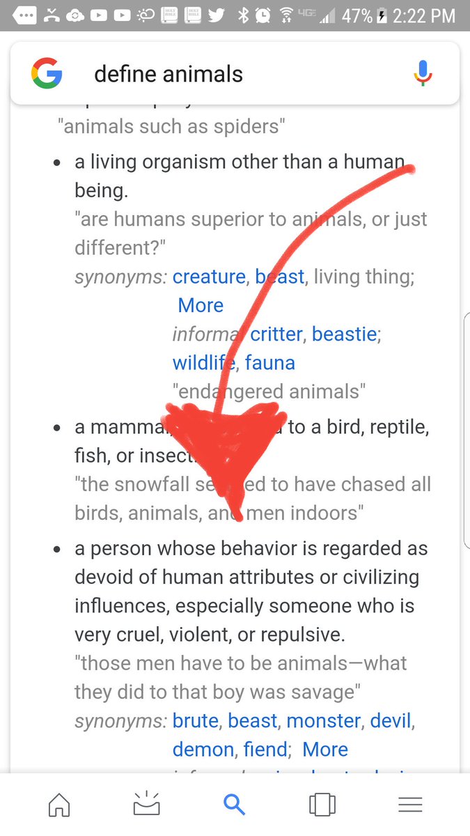 bonniekirk's tweet image. #animals #definition #GoogleSays @realDonaldTrump