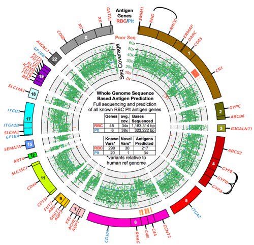 NEW use case for whole #genome sequencing in <a href="/Lancet/">tomasz baniak</a> Hemotology: more precise blood antigen typing, from <a href="/bloodantigens/">William Lane, MD, PhD</a> &amp; our <a href="/NHGRI/">NHGRI</a> funded #MedSeq Project, <a href="/hail_CSER/">CSER</a> <a href="/NYBloodCenter/">NY Blood Center</a> bit.ly/2KB8aKY  "with the potential to transform the practice of transfusion medicine"