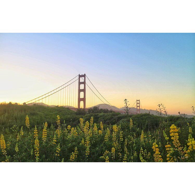 Ahhh...Friday at last! Make some time to #GetOutdoors this weekend - the Presidio is calling.🌅🙌 PC: @ admarquis (on Instagram) #findyourpark #sunrise #theoutbound #fridayfeeling #weekendvibes #sanfrancisco #ggb