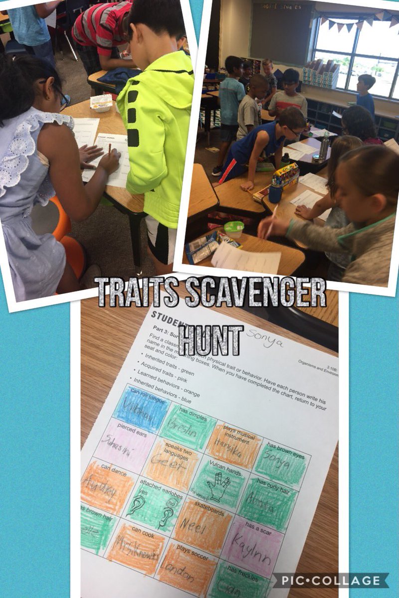 MrsKnowles_3rd's tweet photo. Students went on a scavenger hunt around the room to find classmates who have a certain inherited trait or behavior. It lead to some great discussion! #Hosplearns https://t.co/AVHx0KL4Wi