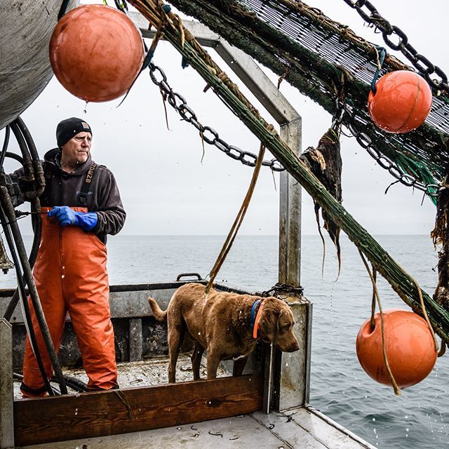 fishy_pictures's tweet photo. A huge thank you to @ebtide for the opportunity to photograph him and his dad at work on Long Island Sound under the watchful eye of Beau. #commercialfishing #knowyourfisherman #fishinglife #eatmoreseafood #trawlife #storiedfish #freshseafood #supportyourlocalfisherman #work… https://t.co/fWfYrW0Q55