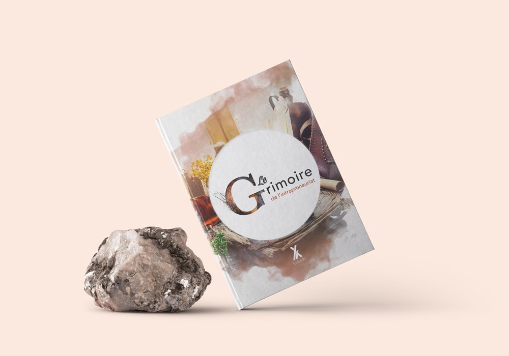 YAPLUSKinnov's tweet photo. 🔜 LE GRIMOIRE DE L'INTRAPRENEURIAT par @YAPLUSKinnov, bientôt disponible en livre-blanc
Pourquoi et comment développer l'#intrapreneuriat au sein de votre structure ? Nous avons mené l'enquête auprès d'une 20aine d'acteurs du #changement et de la #transformation https://t.co/Wc5IOUvlvG