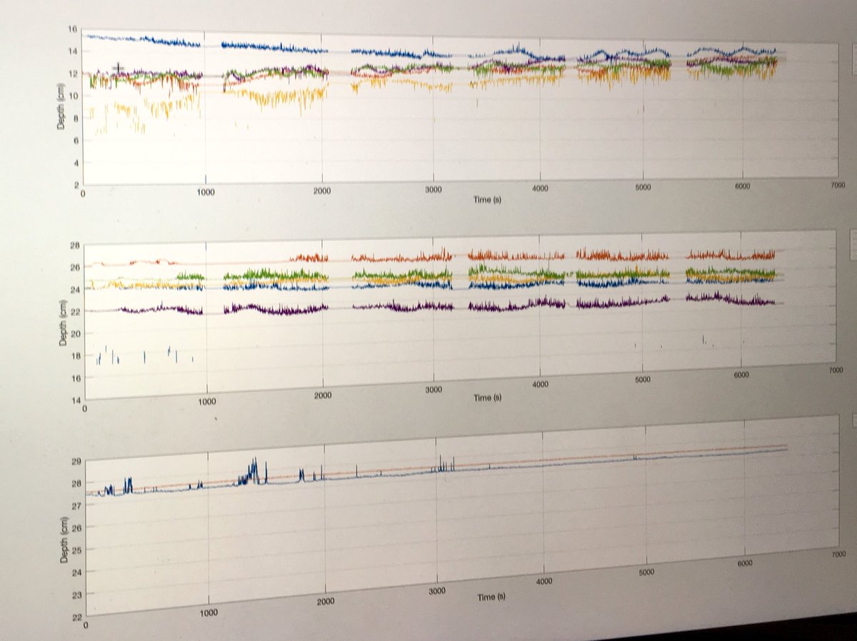 StuartMcLelland's tweet photo. What happened to the mini #SandEngine with small waves (shear stress just above #threshold for #entrainment)?

Lovely #ripples! Lots to see. Top flattened. Accumulation on sides. Transitions in ripple morphology. 

#FlumeFriday https://t.co/QIGe7zLDaa