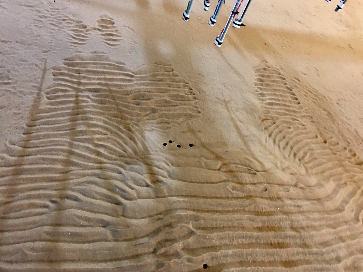 StuartMcLelland's tweet photo. What happened to the mini #SandEngine with small waves (shear stress just above #threshold for #entrainment)?

Lovely #ripples! Lots to see. Top flattened. Accumulation on sides. Transitions in ripple morphology. 

#FlumeFriday https://t.co/QIGe7zLDaa
