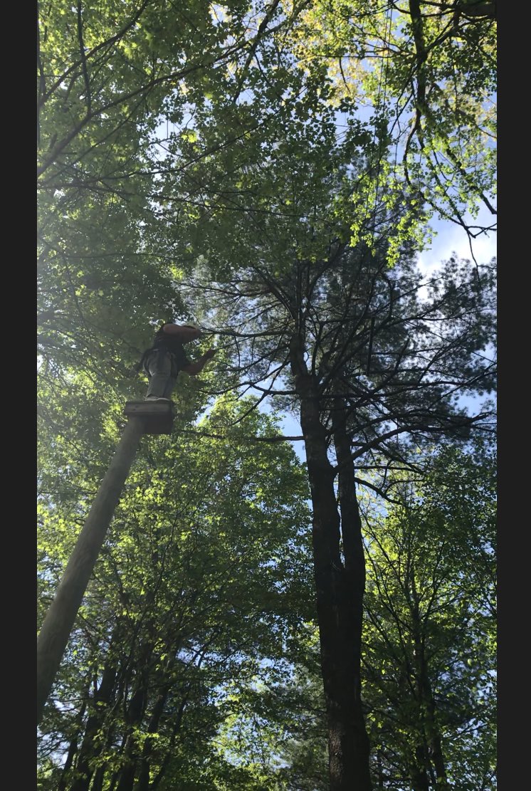 BC_jsmith's tweet photo. Mr. Doemel took a birthday leap of faith with the Project Adventure class today. And he stuck the landing! Happy Birthday Mr. Doemel @BethlehemCSD https://t.co/2bmUYWZ4xs