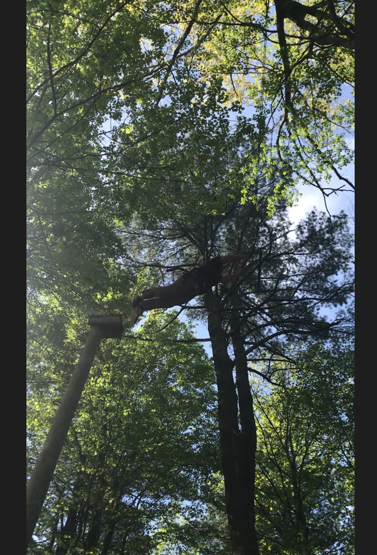 BC_jsmith's tweet photo. Mr. Doemel took a birthday leap of faith with the Project Adventure class today. And he stuck the landing! Happy Birthday Mr. Doemel @BethlehemCSD https://t.co/2bmUYWZ4xs