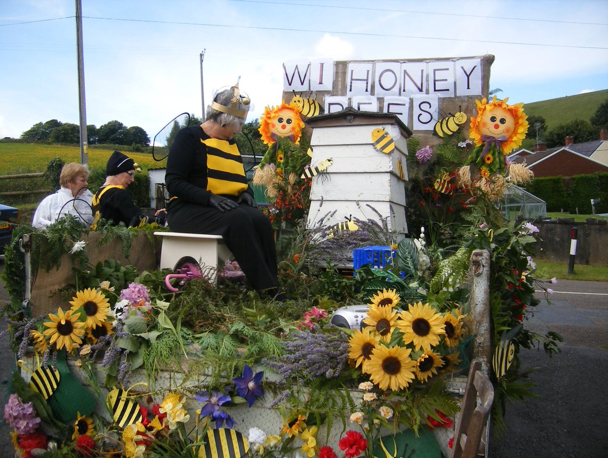 For the first ever #WorldBeeDay, we’re going to take a look back over the history of the WI’s campaigns to protect bees.