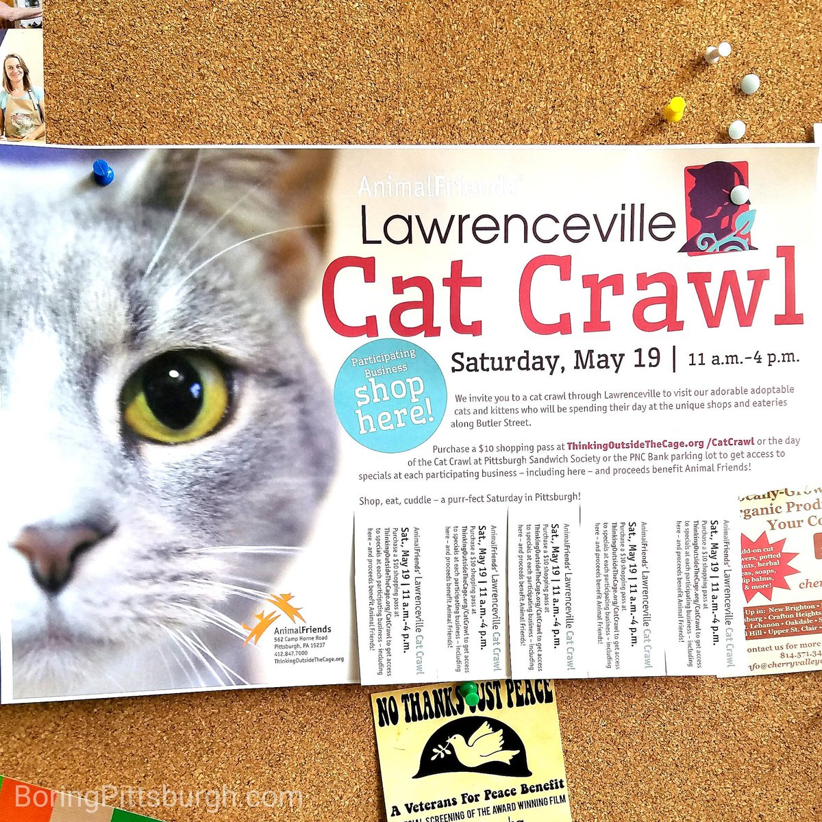 BoringPGH's tweet photo. #WhatToDo412: Lawrenceville Cat Crawl on Saturday, May 19, 2018. Supports @Animal_Friends. #catcrawl https://t.co/6F95K0ksbm