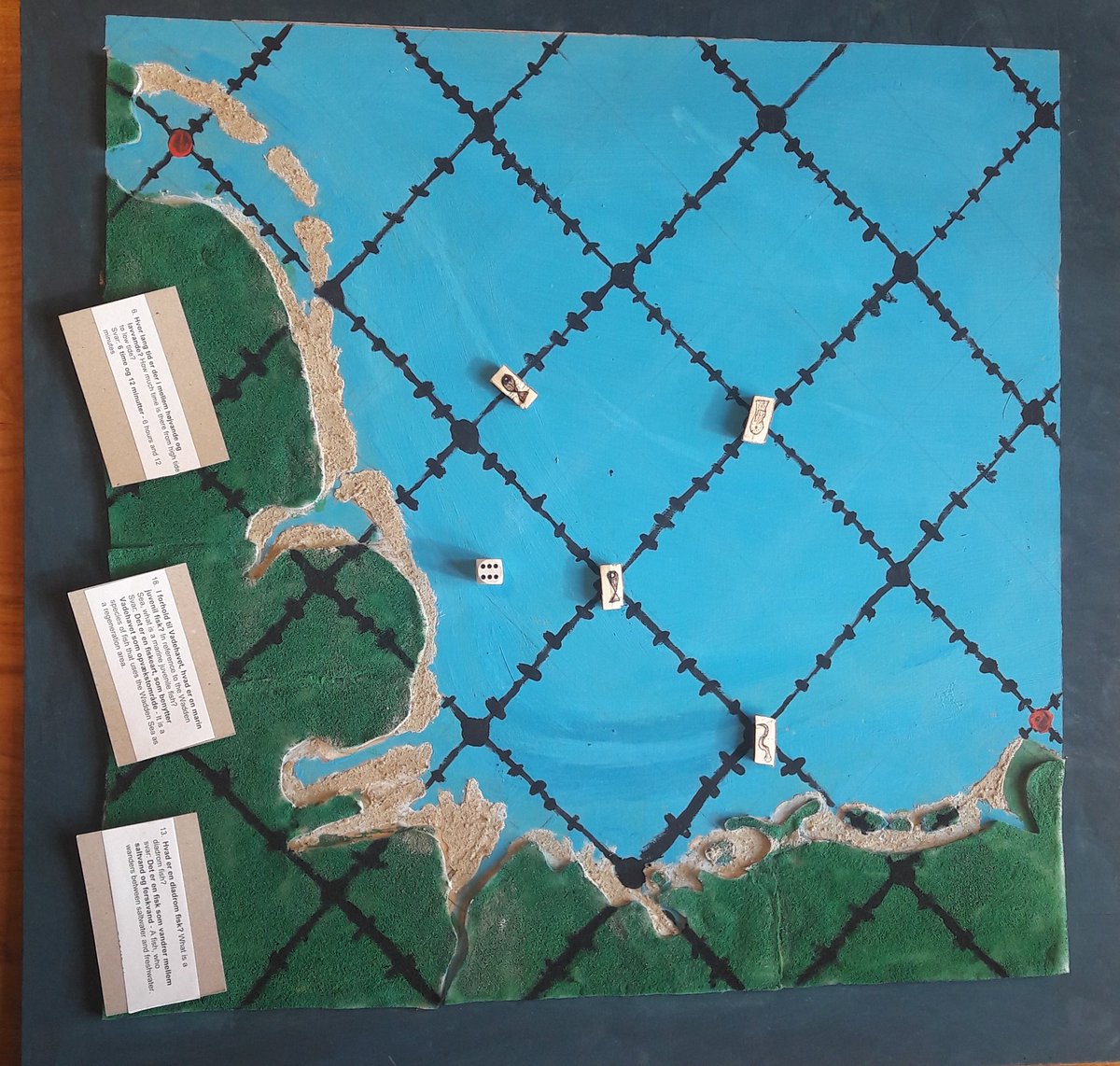 waddenvereniging.nl/pers/10597-sch…
Deense leerlingen ontwikkelden spel om aandacht te vragen voor vissen